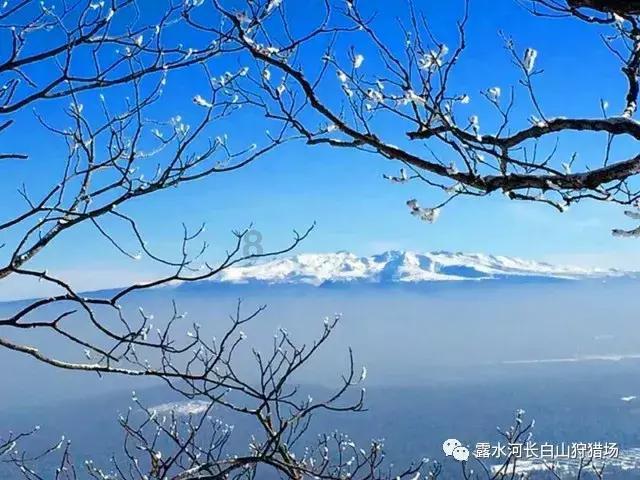 我想知道我的婚姻好不好